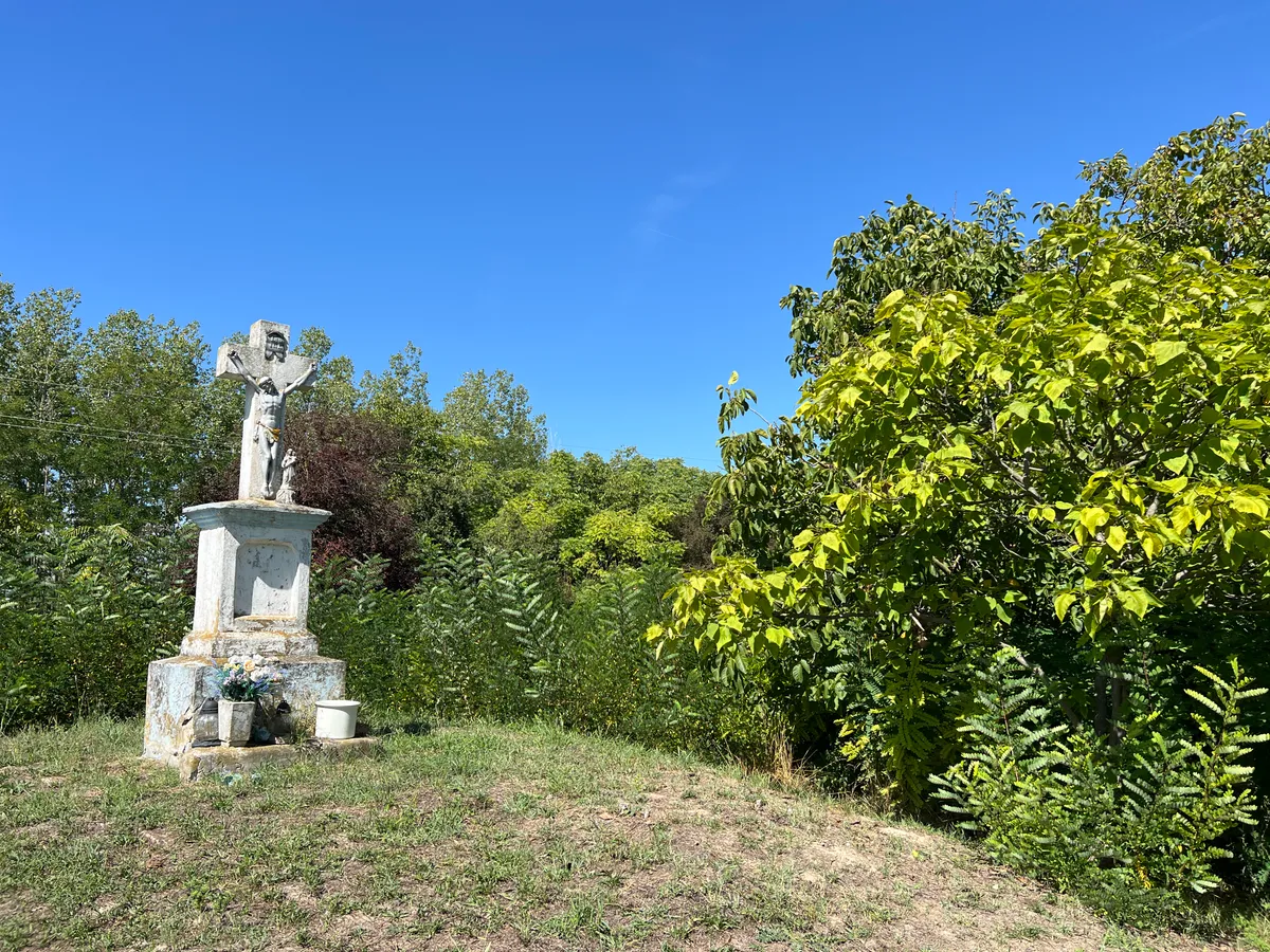 miskei gyermekgyilkosság